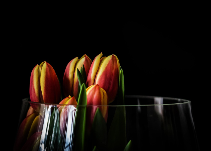 全球疫情实时动态更新:全球疫情实时动态更新今天 全球疫情实时动态更新:全球疫情实时动态更新今天