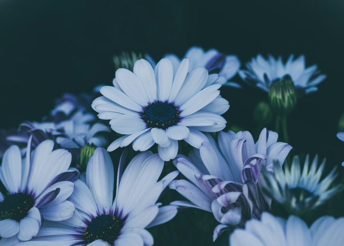 [分析]“花花生活圈真的有挂吗”原来可以开挂