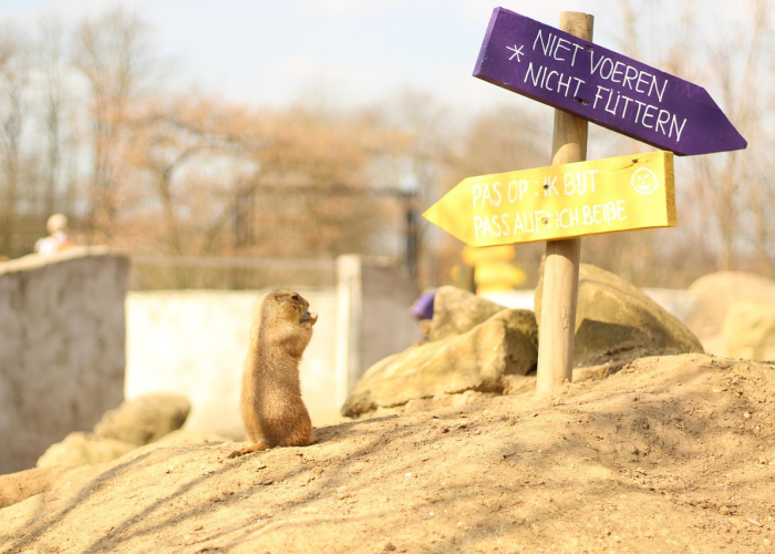 【全球疫情最新情况死亡多少/全球疫情最新情况死亡多少人】