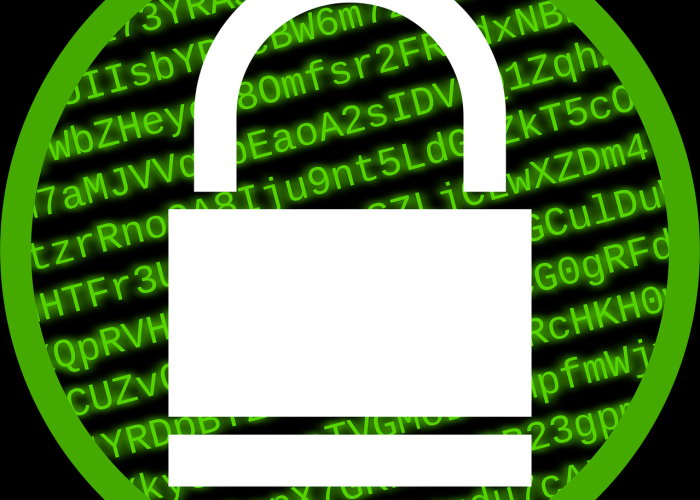 第一攻略.“熊猫金花怎么开挂”[详细介绍开挂内幕]