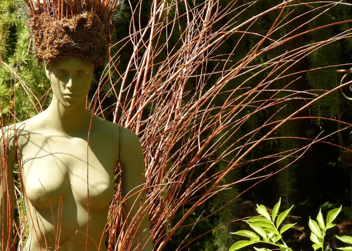 贵州疫情最新消息,风险等级动态调整,科学防控保民生 贵州疫情最新消息,风险等级动态调整,科学防控保民生