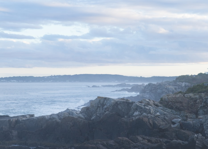 我来教教大家“白金岛红拐弯其实真有透视挂”(原来真有挂)-知乎 我来教教大家“白金岛红拐弯其实真有透视挂”(原来真有挂)-知乎