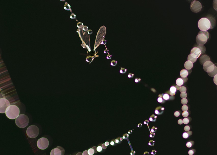 贵州最新疫情动态,新增本土病例持续下降,防控措施科学调整 贵州最新疫情动态,新增本土病例持续下降,防控措施科学调整