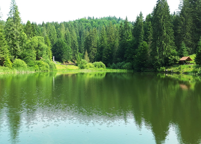 贵州最新疫情防控规定,科学精准防控,守护黔山贵水安宁 贵州最新疫情防控规定,科学精准防控,守护黔山贵水安宁