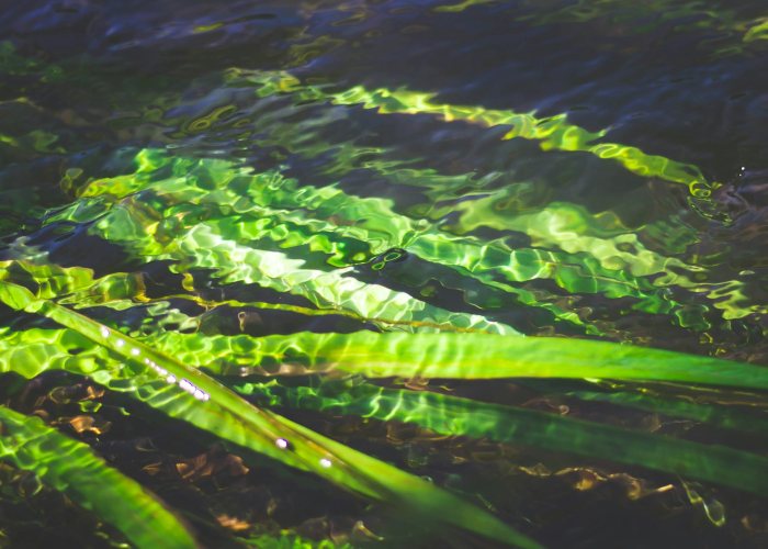 贵州最新疫情防控规定,科学精准防控,守护黔山贵水安宁 贵州最新疫情防控规定,科学精准防控,守护黔山贵水安宁