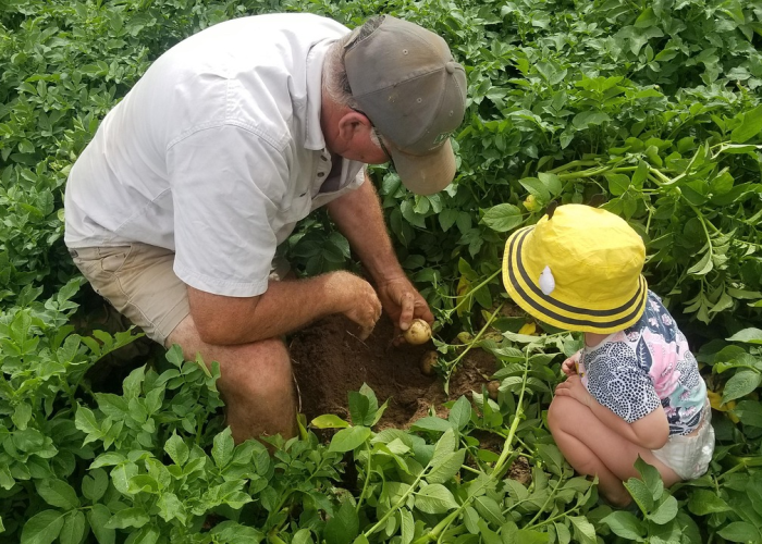 经验总结.“农场假日有挂是真的吗”其实真的能开挂