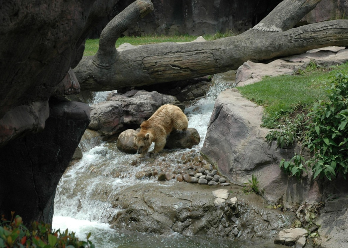 贵州省疫情实时动态数据（贵州省疫情实时动态数据查询）