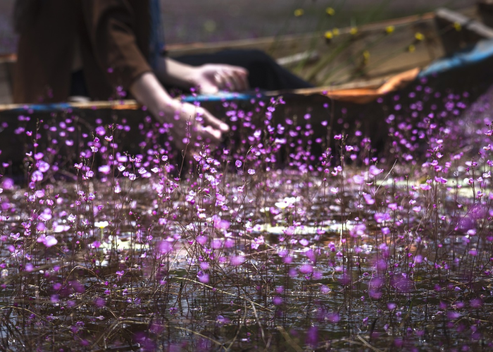 贵州省疫情实时动态数据（贵州省疫情实时动态数据查询）