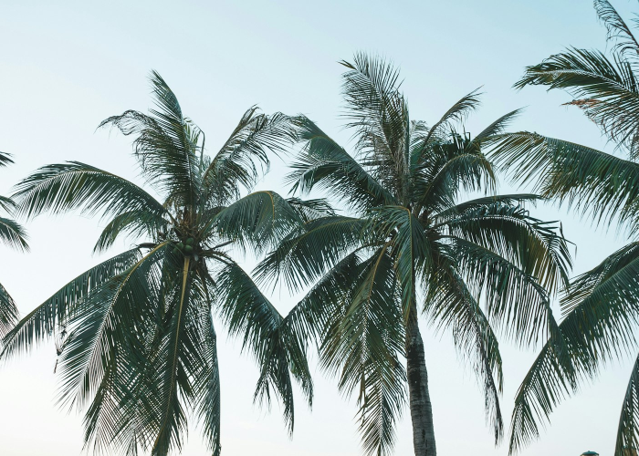 【贵州省最新疫情动态地图/贵州省最新疫情动态地图查询】