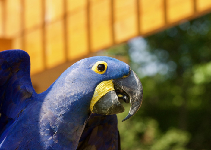 新冠疫情实时动态贵州/新冠疫情实时动态贵州最新消息