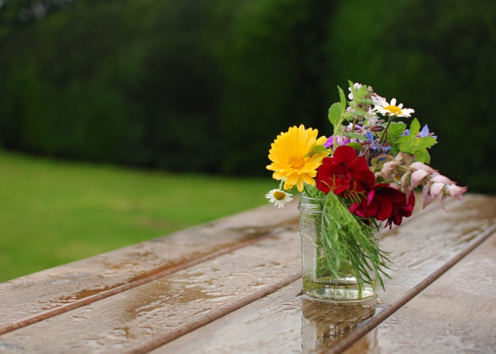 分享给大家“天蝎炸/金/花真的有挂吗”［其实是有挂］
