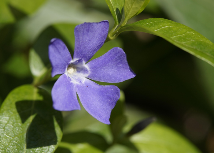 甘肃疫情最新动态图,一图读懂防控进展与生活指引 甘肃疫情最新动态图,一图读懂防控进展与生活指引