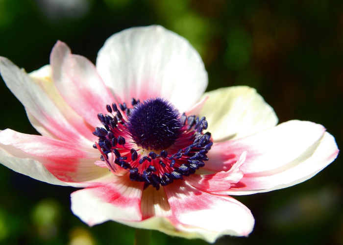 经验总结.“花花生活圈为什么一直输,可以开挂吗”[详细开挂玩法]
