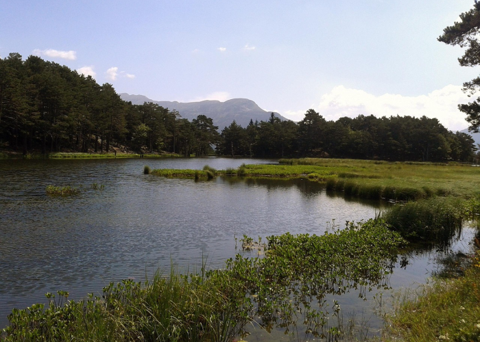 甘肃疫情动态实时播报/甘肃疫情动态实时播报今天 甘肃疫情动态实时播报/甘肃疫情动态实时播报今天