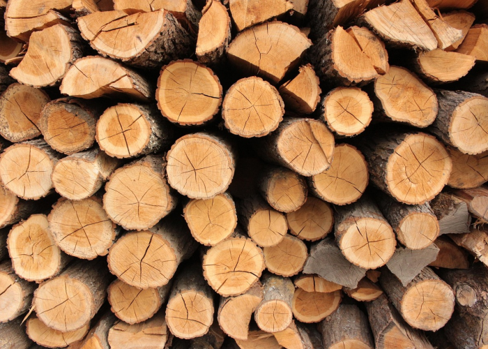 甘肃疫情最新实时动态数据/甘肃疫情最新实时动态 甘肃疫情最新实时动态数据/甘肃疫情最新实时动态