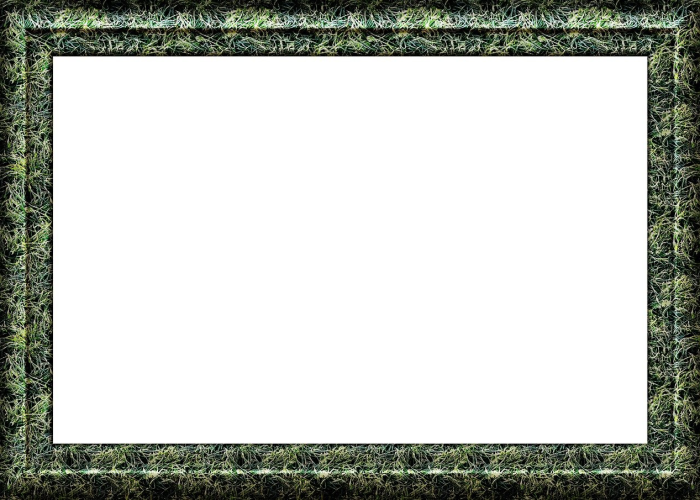 重庆疫情最新情况数据,精准防控下的动态与挑战 重庆疫情最新情况数据,精准防控下的动态与挑战