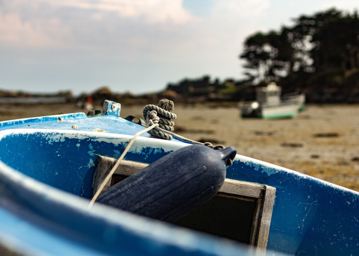 重庆疫情实时动态,精准防控下的城市守护与市民生活 重庆疫情实时动态,精准防控下的城市守护与市民生活