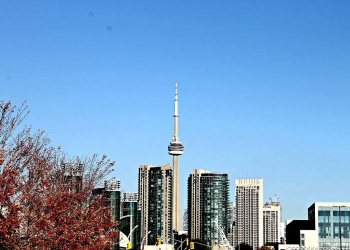 疫情最新数据重庆今天封城了吗:疫情最新数据重庆今天封城了吗最新消息 疫情最新数据重庆今天封城了吗:疫情最新数据重庆今天封城了吗最新消息