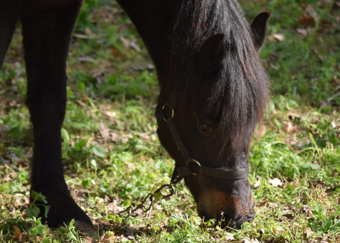 我来教教大家“铭心牛牛到底有没有透视挂吗”(其实有挂)-知乎 我来教教大家“铭心牛牛到底有没有透视挂吗”(其实有挂)-知乎