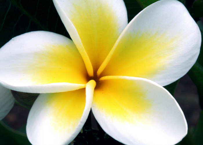 [解答]“月亮大厅有没有挂”原来可以开挂