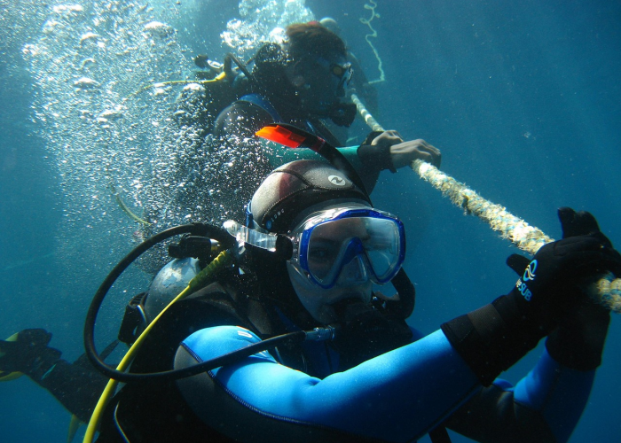 重大通报.“鲸鲨三公能开挂吗,要如何操作开挂辅助”[详细开挂玩法]