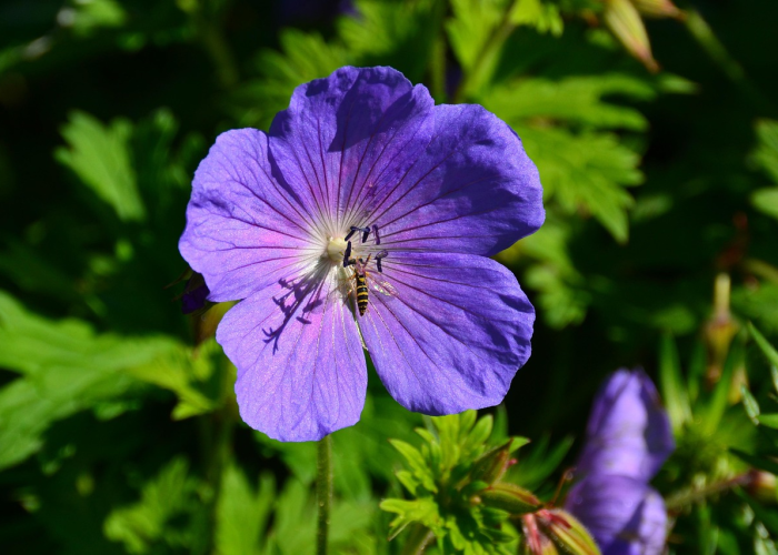 【重庆疫情实时动态/重庆疫情实时动态查询】 【重庆疫情实时动态/重庆疫情实时动态查询】