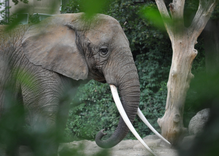 重庆疫情实时动态更新/重庆疫情实时动态更新情况 重庆疫情实时动态更新/重庆疫情实时动态更新情况