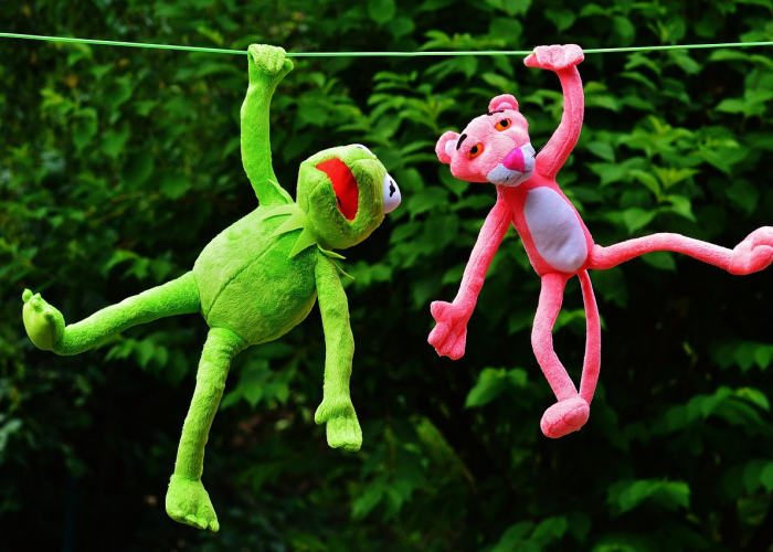 关于“新猴王牛牛有挂吗?”其实有挂 关于“新猴王牛牛有挂吗?”其实有挂