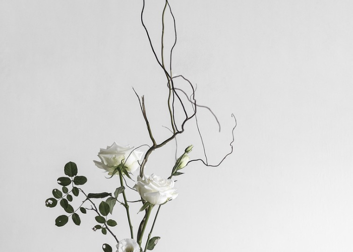 [推荐]“茶友可以开挂吗”(确实真的有挂)