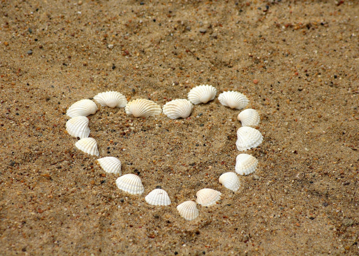 第一攻略.“新道游拼三张有挂吗”[详细介绍开挂内幕]