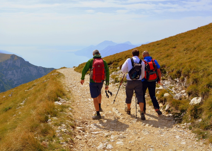 疫情最新数据消息实时动态图:疫情最新数据消息实时动态图片 疫情最新数据消息实时动态图:疫情最新数据消息实时动态图片