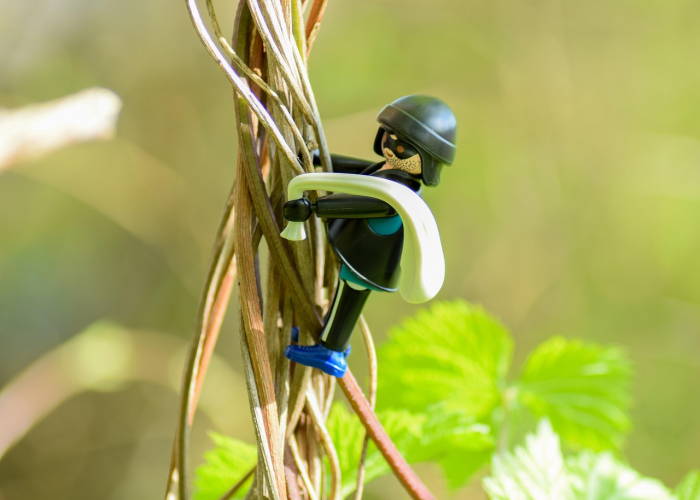 疫情动态一目了然,最新数据地图查询工具使用指南 疫情动态一目了然,最新数据地图查询工具使用指南