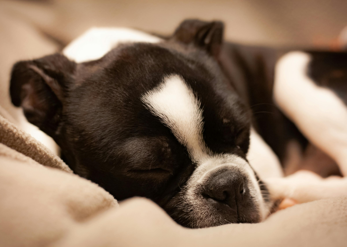 ［最新分享］“推大石有没有挂”［果然有透视挂］