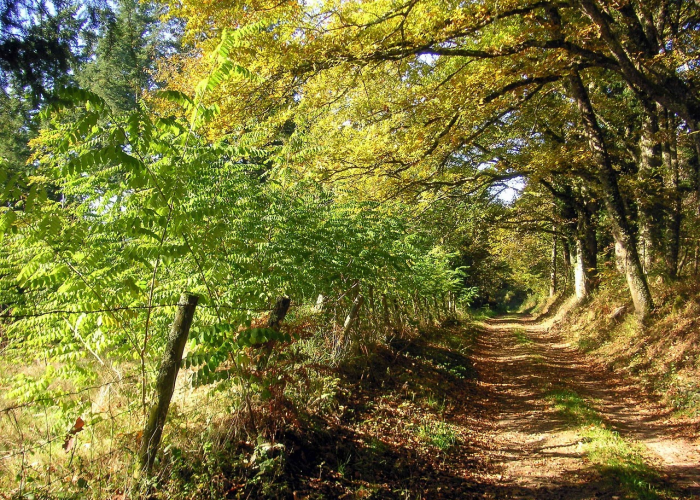 疫情最新动态地图消息查询/疫情最新动态地图消息查询北京