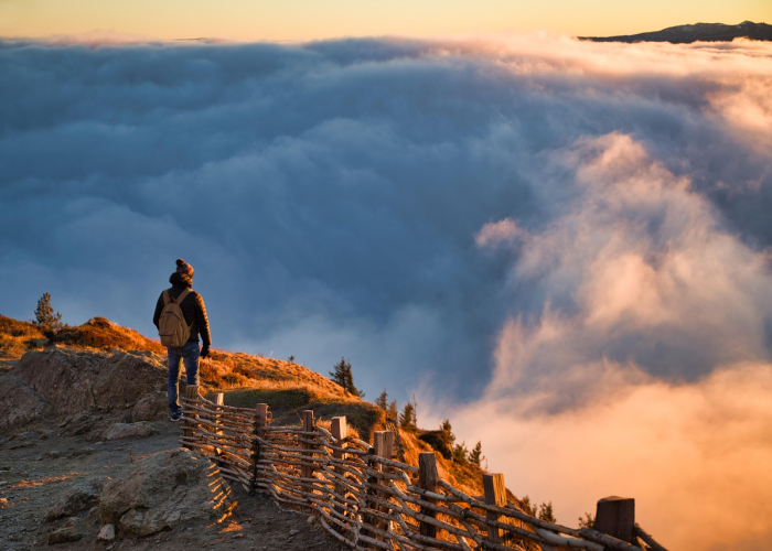 疫情是哪一年爆发出来的呢:疫情是哪一年爆发出来的呢图片
