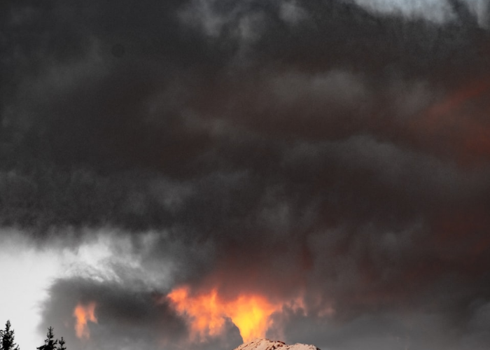 疫情是哪年爆发的啊图片/疫情是哪年爆发的啊图片大全 疫情是哪年爆发的啊图片/疫情是哪年爆发的啊图片大全