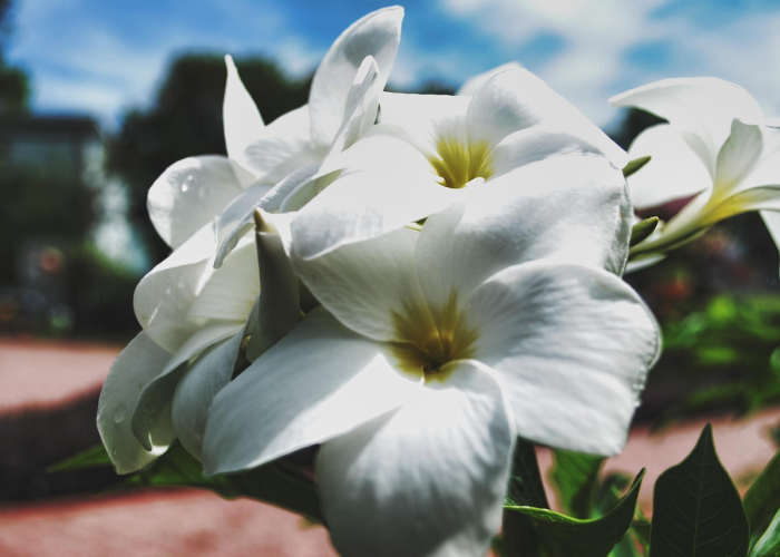 [分析]“六瓣数字消真的有挂吗”(原来确实是有挂)