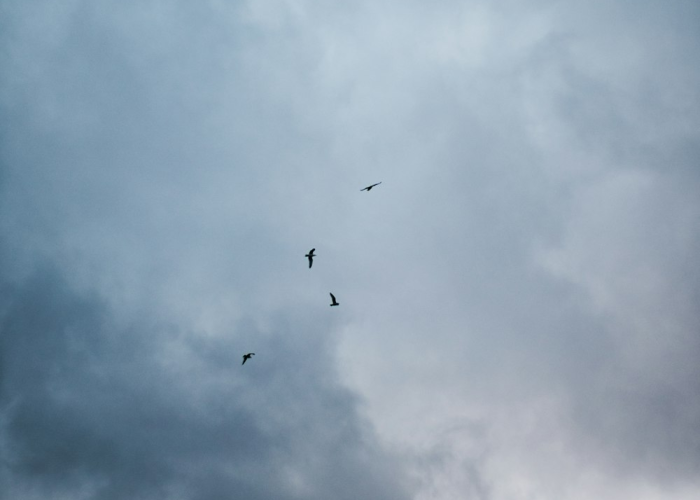 【疫情地图最新动态/疫情地图最新动态图】 【疫情地图最新动态/疫情地图最新动态图】