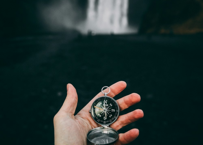 疫情地图最新，动态图谱如何成为我们的公共健康指南针