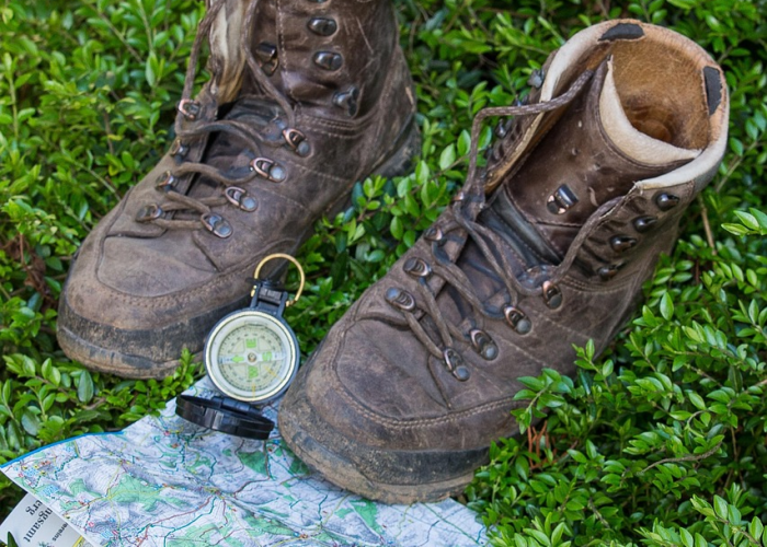 疫情地图最新，动态图谱如何成为我们的公共健康指南针