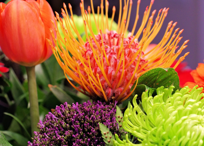 ［最新攻略］“新超圣炸/金/花可以开挂吗”［太坑了原来有挂］