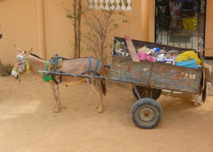 疫情在哪一年发生的/疫情在哪一年发生