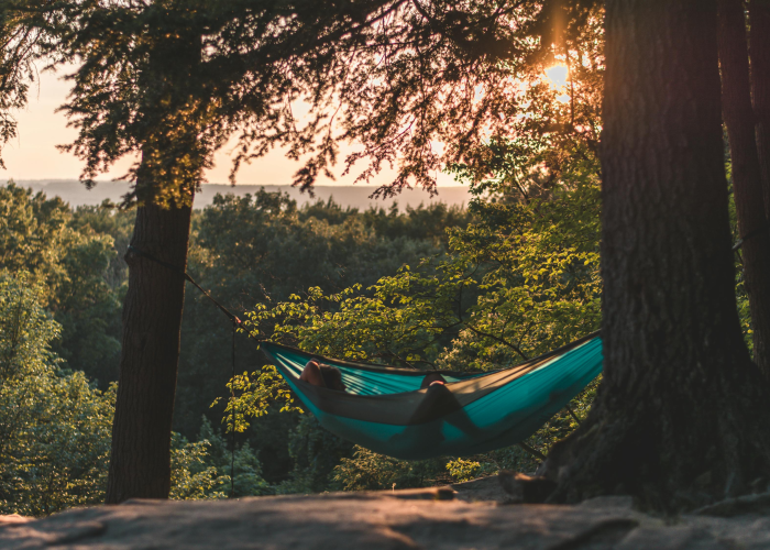 [分析]“阳光巴厘岛可以开挂吗”有挂详细开挂教程