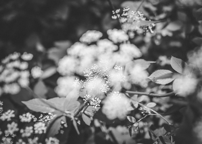 记忆的刻度,当那一年被定格为图片 记忆的刻度,当那一年被定格为图片