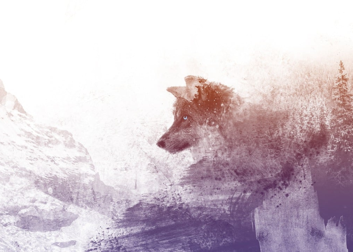 【疫情那一年爆发的?疫情那一年爆发的】 【疫情那一年爆发的?疫情那一年爆发的】