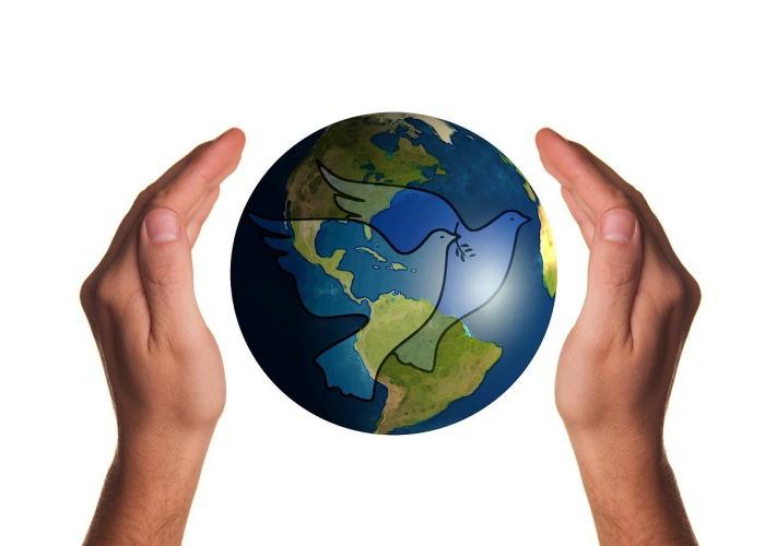 疫情开始是哪一年哪一月:疫情开始是哪一年哪一月哪一日