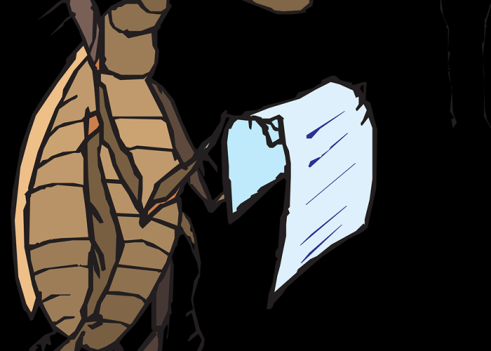 疫情是从几几年开始的:疫情是从几几年开始的? 疫情是从几几年开始的:疫情是从几几年开始的?