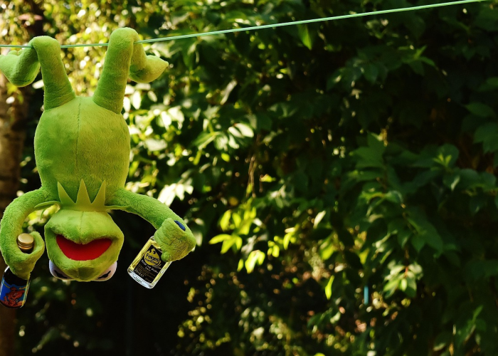 最新消息.“功夫熊猫牛牛有挂没有吗”其实真的有挂