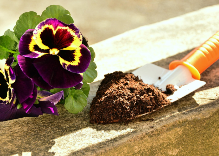 ［攻略科普］“麦穗怎么开挂”［太坑了原来有挂］