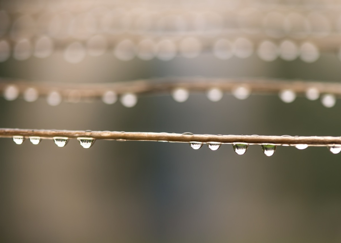 终于出现"“十三水竟然有挂”详细教程